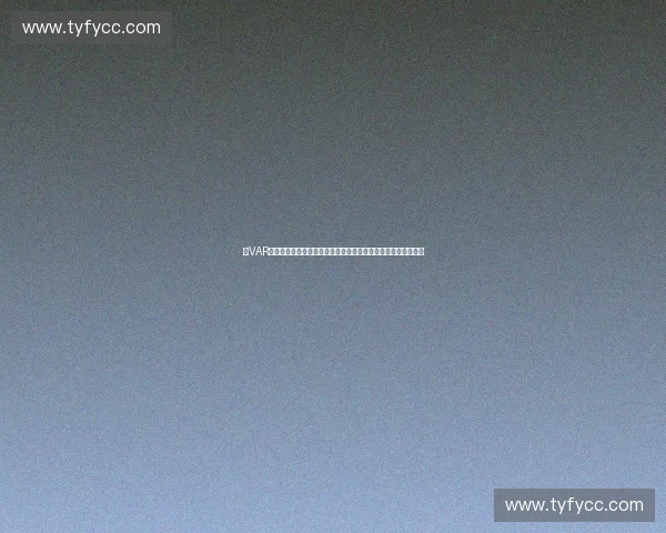 以VAR系统为核心的现代足球判罚变革与技术争议探析路径与未来发展